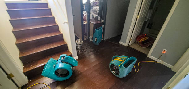 Best Carpet water damage restoration  in Tulsa, OK