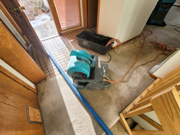 Best Professional water damage repair  in Tulsa, OK