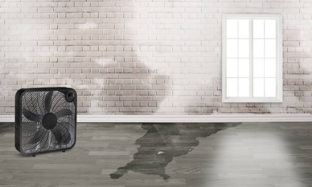 Best Basement water damage restoration  in Tulsa, OK
