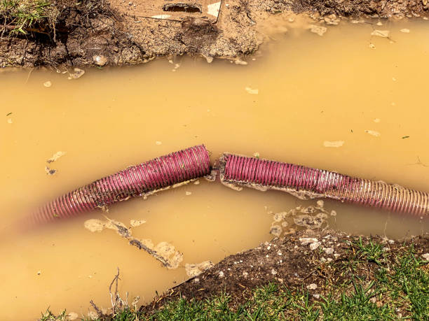 Best Flood damage cleanup  in Tulsa, OK